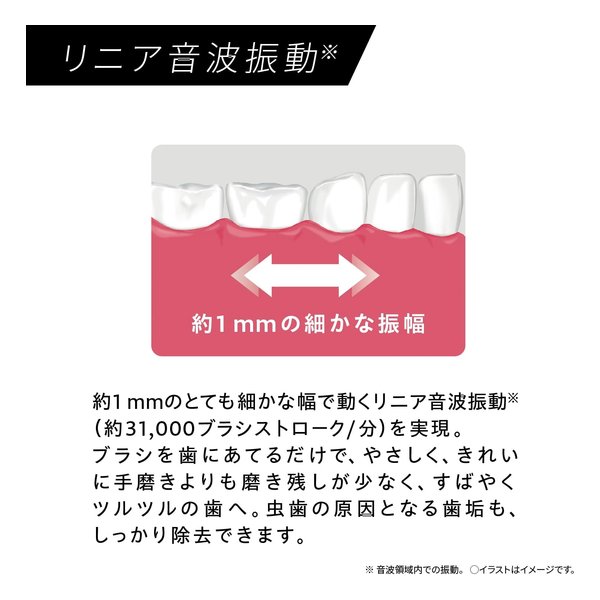 Panasonic パナソニック音波振動ハブラシ ドルツ USB充電/3種のブラシ/携帯ケース付き/ディープネイビー EW-DA48-A(2676674)送料無料_5