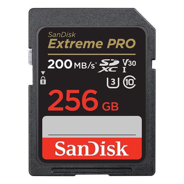 SANDISK サンディスクSDXCカード 256GB UHS-I U3 Class10 SDSDXXD-256G-GN4IN(2548873)送料無料
