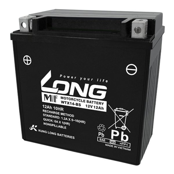 LONG ロング蓄電池 12V/12Ah 液教え込むこと済 WTX14-BS(2640984)代引不可 貨物輸送無料