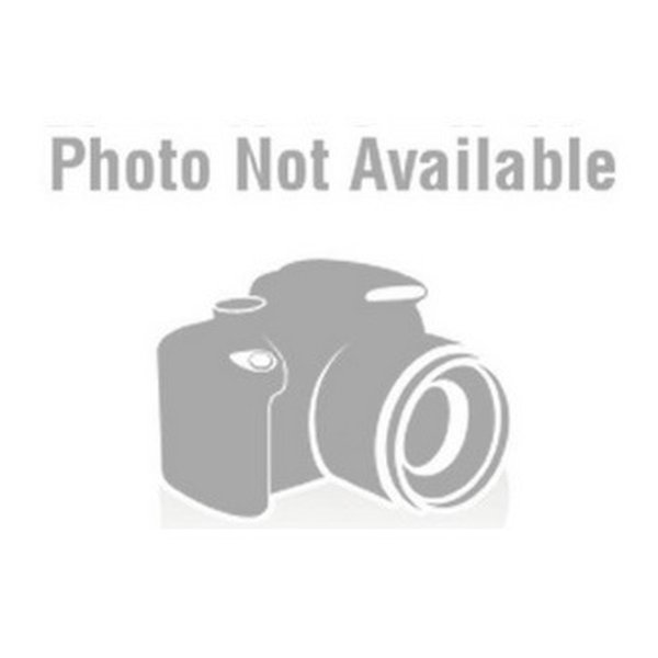 DAYTONA デイトナドライブレコーダー M777D 補修品 リアカメラ 約0.2m マウント付き D17097(2502217)代引不可 送料無料