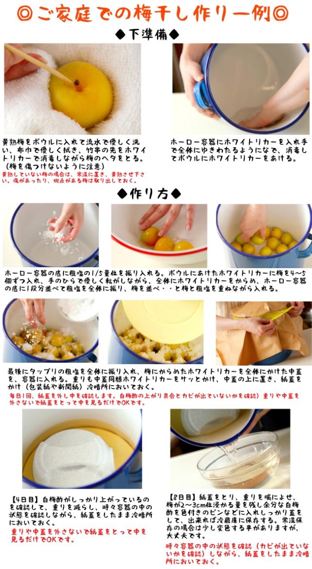 梅干し作りセット ホーロー保存容器20cm 梅2 3kg用 保存容器 梅干し作りキッドの通販はau Pay マーケット やかん屋