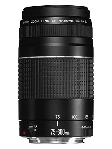 Canon EFレンズ EF75-300mm F4-5.6 IIIズームレンズ 望遠 並行輸入品(中古品)