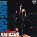THE BIG GIG [DVD](中古品)