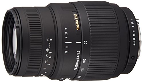 SIGMA 望遠ズームレンズ 70-300mm F4-5.6 DG MACRO ペンタックス用 フルサ (中古品)