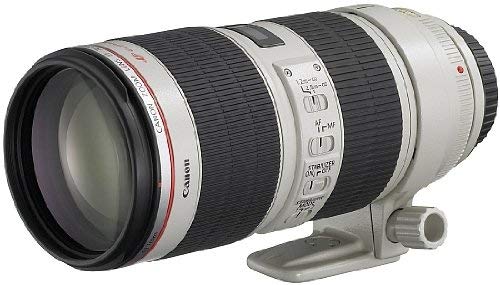 Canon 望遠ズームレンズ EF70-200mm F2.8L IS II USM フルサイズ対応(中古品)