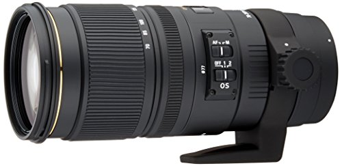 SIGMA 望遠ズームレンズ APO 70-200mm F2.8 EX DG OS HSM シグマ用 フルサ (中古品)の通販は