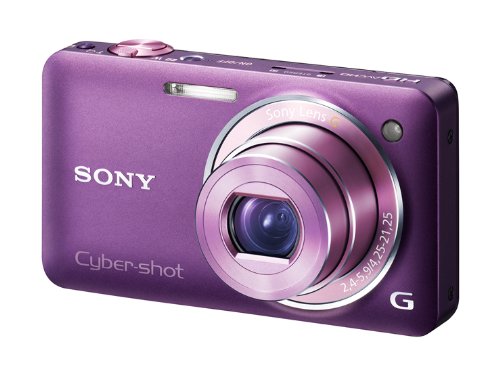 ソニー SONY デジタルカメラ Cybershot HX7V 1620万画素CMOS