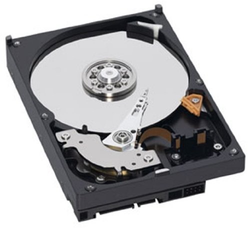 Western Digital Caviar Green 3.5inch 5400rpm 1TB 64MB SATA 3.0Gbps WD1(中古品)