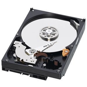 WESTERN DIGITAL 3.5インチ内蔵HDD 2TB SATA/6.0Gb 5400rpm 64MB WD20EARX-(中古品)