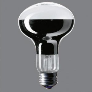 パナソニック 20個セット レフ電球(屋内用) 100V 100形 E26口金 80ミリ径 R（中古品）