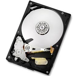 HGST 日立　3.5インチSATA3.0(6Gbps)接続HDD 500GB 7200rpm　HDS721050CLA6(中古品)