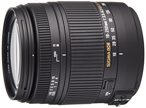 SIGMA 高倍率ズームレンズ 18-250mm F3.5-6.3 DC MACRO HSM ソニー用 APS-C(中古品)
