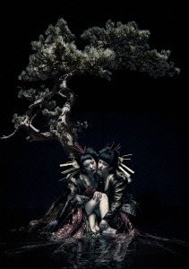 the GazettE LIVE TOUR 12-13【DIVISION】FINAL MELT LIVE AT 03.10 SAITAM(中古品)