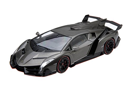 フジミ模型 1/24 リアルスポーツカーシリーズNo.01ランボルギーニ ヴェネー(中古品)