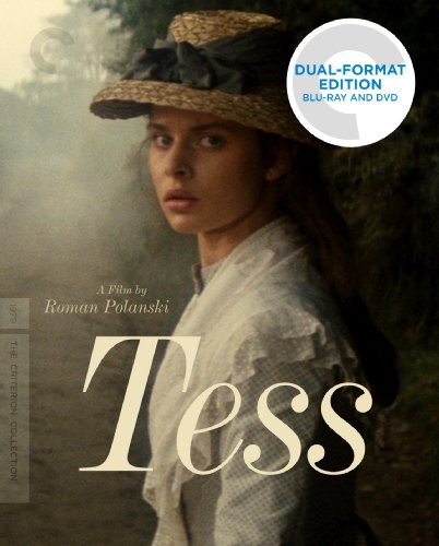 TESS(中古品)