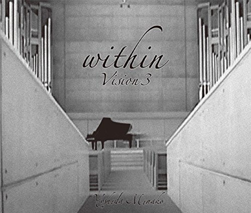 within Vision 3 [DVD+2CD](中古品) 14,158円