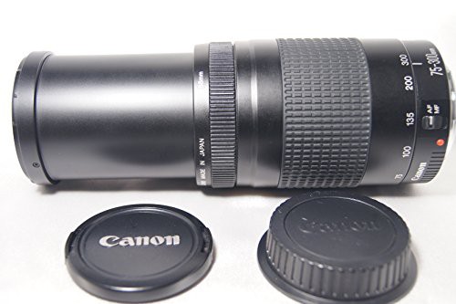 Canon キヤノン EF 75-300mm F4-5.6 II(中古品)