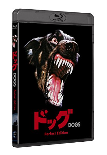 ストレンジャー・ザン・パラダイス / ダウン・バイ・ロー : 2 in