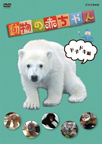 NHKDVD  動物の赤ちゃん  ドキドキ編(中古品)