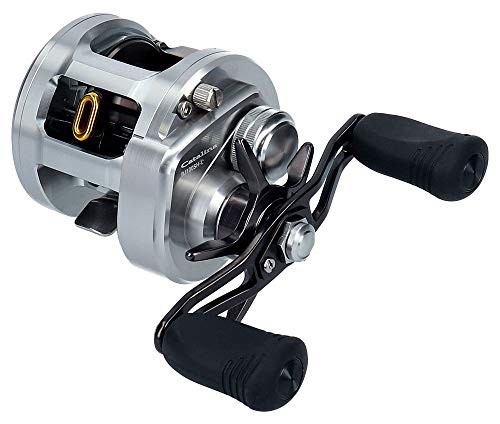 ダイワ(Daiwa) ベイトリール 15 キャタリナ ベイジギング 100SH-L(中古品)