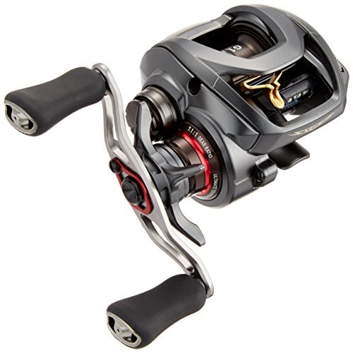 ダイワ(DAIWA) リール スティーズ SV TW 1016SV-SH(品) お客様満足度NO