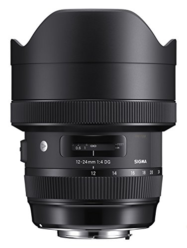 SIGMA 12-24mm F4 DG HSM | Art A016 | Canon EFマウント | Full-Size/Larg(中古品)