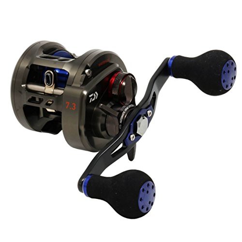 大特価販売 ダイワ リール ソルティガ BJ 100SHL(品) 年春 ダイワDAIWA