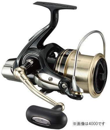 ダイワ(Daiwa) スピニングリール 17ウインドキャスト 4500(中古品)