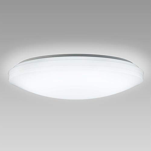 NEC LEDシーリングライト 〜12畳用 調光タイプ 昼光色 リモコン付 HLDZ1220（中古品）