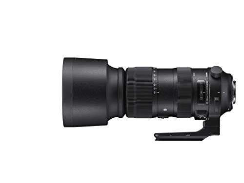 SIGMA 60-600mm F4.5-6.3 DG OS HSM | Sports S018 | Canon EFマウント | F(中古品)