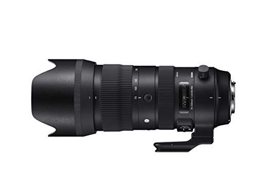 SIGMA 70-200mm F2.8 DG OS HSM | Sports S018 | Canon EFマウント | Full-(中古品)