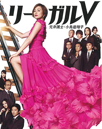 リーガルV~元弁護士・小鳥遊翔子~ DVD BOX(特典なし)(中古品)