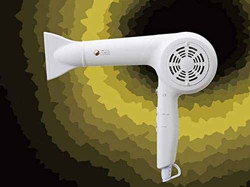 HOLISTIC cures ホリスティックキュア ドライヤー モイストプラス CCID-P02(中古品) 18,466円