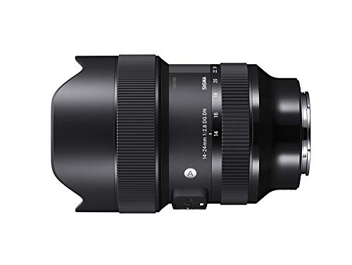SIGMA 14-24mm F2.8 DG DN | Art A019 | Sony E(FE)マウント | Full-Size/L(中古品)