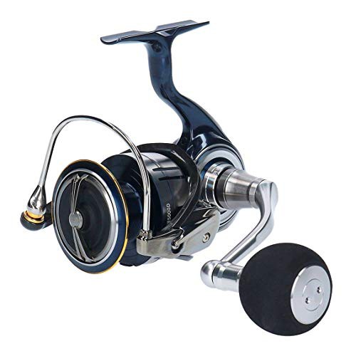 ダイワ(DAIWA) リール 19 セルテート LT5000D(中古品)