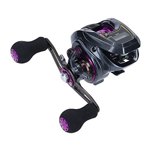 ダイワ(DAIWA) LIGHT SW X IC R カウンター付ベイトリール（中古品）