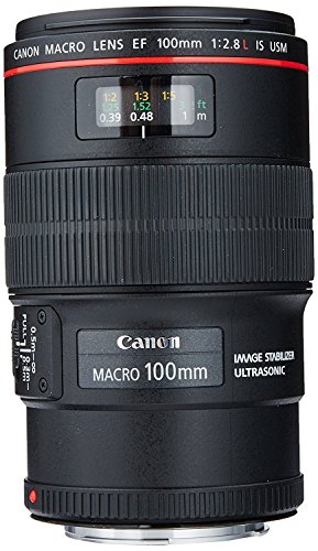 Canon 100mm f/2.8L マクロレンズ 3554B002 並行輸入品(未使用品)