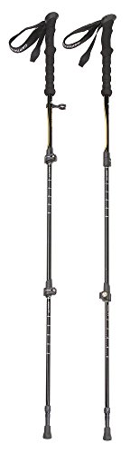 キャプテンスタッグ(CAPTAIN STAG) トレッキングステッキ FEEL BOSCO 3段 2(未使用品)