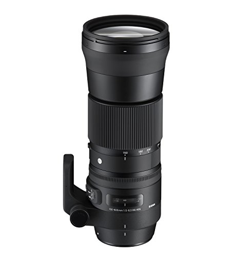 美品 SIGMA 150-600mm Sports ニコンFマウント SIGMA 150-600mm F5-6.3 DG OS HSM | Contemporary ニコンFマウント