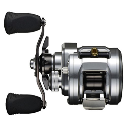 ダイワ Daiwa ベイトリール 15 キャタリナ ベイジギング 100h L 未使用品 の通販はau Pay マーケット Goodlifestore