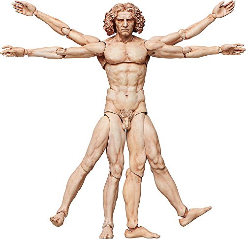 figma 速見表総合博物館 ウィトルウィウス的有待図 ノン規模 ABS&PVC製  (未当てはめる品)