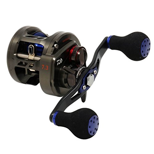 DAIWA - DAIWA ダイワ ベイトリール 25ソルティガ 300H 00631556 釣り フィッシング 釣り具 リール 【未使用品】 22505K314 DAIWA（釣り） ベイトリール ダイワ 25ソルティガ 300 右