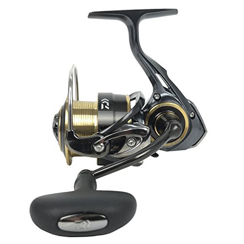 ダイワ(Daiwa) スピニングリール 17 セオリー 3012H (3000サイズ)(未