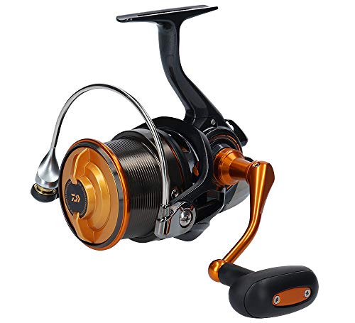 ダイワ(DAIWA) スピニングリール キャスティズム 25 15PE 2019モデル(未使用品)