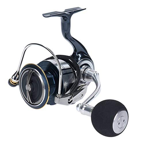 ダイワ(DAIWA) リール 19 セルテート LT5000D-CXH(未使用品)