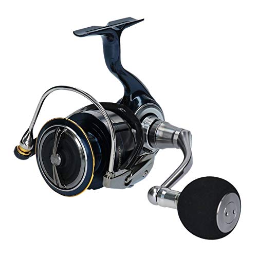 ダイワ(DAIWA) リール 19 セルテート LT5000D-XH(未使用品)
