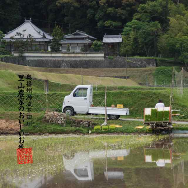 新米 お米 10kg 送料無料 白米～分づき 精米 奥播州源流芥田川産こしひかり芥田川 きらきら光るコシヒカリ 令和4年産 生産農家直送の通販はau  PAY マーケット - 里山農家のおいしいお米