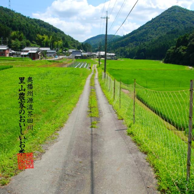 【令和8年産 新米予約】 米 お米 30kg 送料無料 選べるオーダー精米 清流きぬひかり芥田川 新米 農家産地直送 米 30キロ 無洗米 白米 7分づき 5分づき 3分づき 低温精米 贈答 お米ギフト贈り物_12