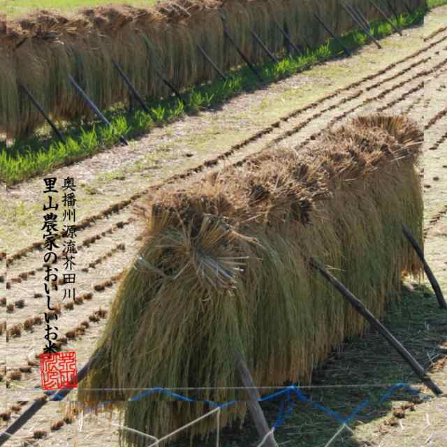 新米『コシヒカリ』美味しい水と豊かな土《令和4年産》清流思い川☆無洗米20kg