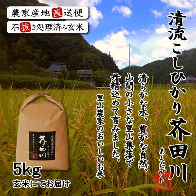 5kg　PAY　送料無料　キラキラ光るコシヒカリ　奥播州源流芥田川産こしひかり芥田川　マーケット　無洗米　PAY　au　里山農家のおいしいお米　精米にて　お米　農家直送便の通販はau　令和4年産　マーケット－通販サイト